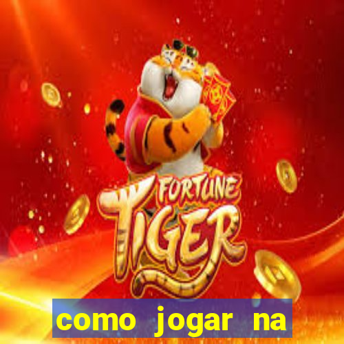 como jogar na seninha online